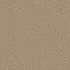 Potter's Clay