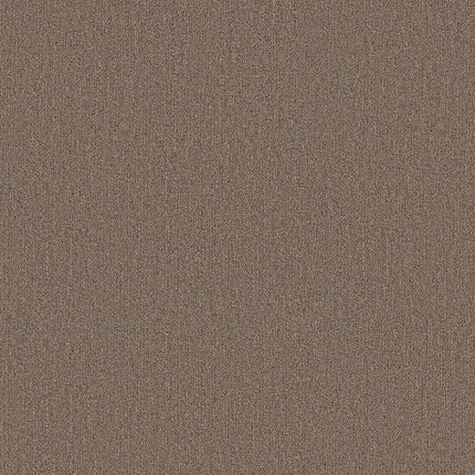 PROFUSION 20 - 54933 - 00730 - Carpet