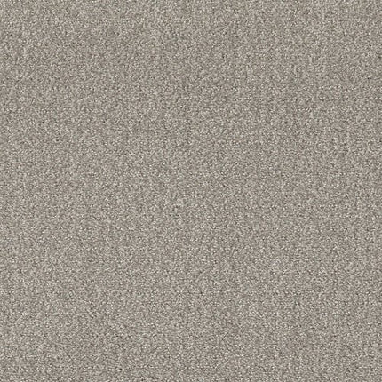 PROFUSION 20 - 54933 - 00505 - Carpet
