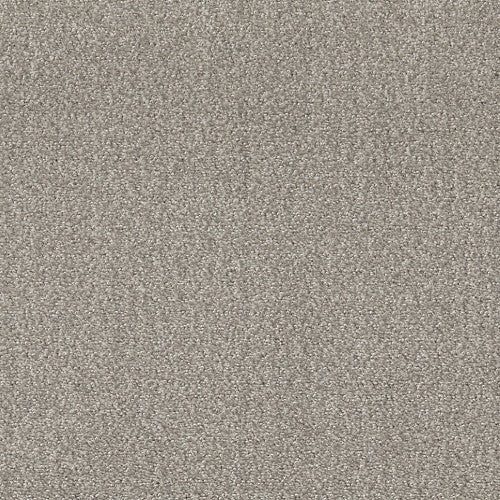 PROFUSION 20 - 54933 - 00505 - Carpet