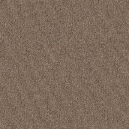 PROFUSION 26 - 54969 - 00230 - Carpet