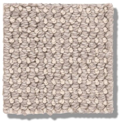 Purrfection - ZZ097_00114-Carpet