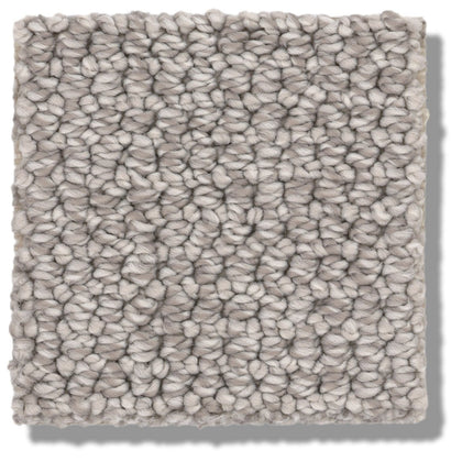 Purrfection - ZZ097_00553-Carpet