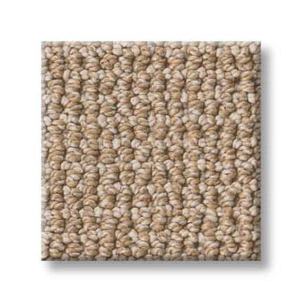 Purrfection - ZZ097_00125-Carpet