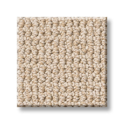 Purrfection - ZZ097_00121-Carpet