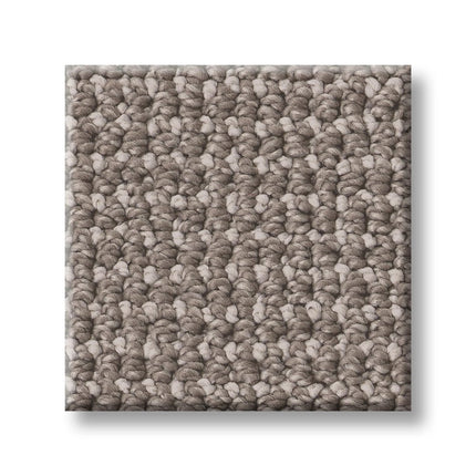 Purrfection - ZZ097_00755-Carpet