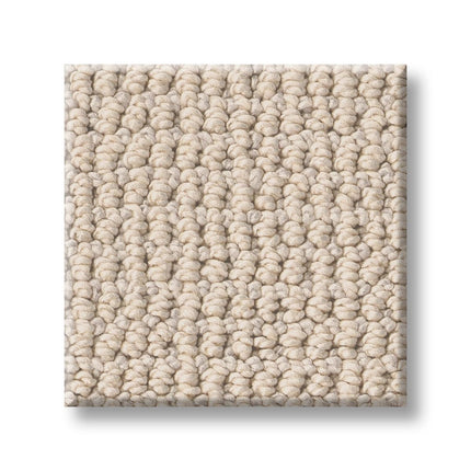 Purrfection - ZZ097_00151-Carpet