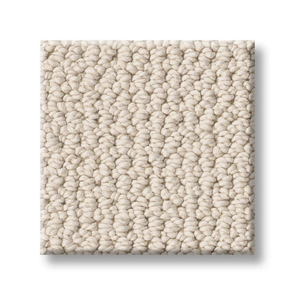 Purrfection - ZZ097_00111-Carpet