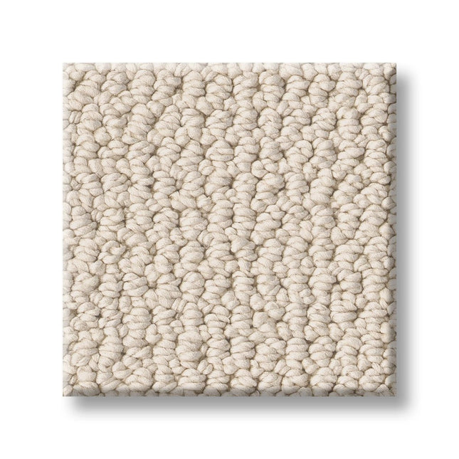 Purrfection - ZZ097_00111-Carpet