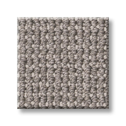 Purrfection - ZZ097_00555-Carpet