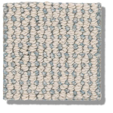 Purrfection - ZZ097_00143-Carpet