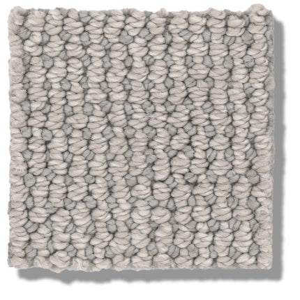 Purrfection - ZZ097_00543-Carpet