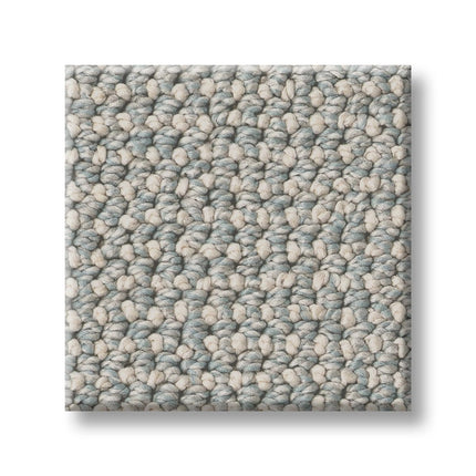 Purrfection - ZZ097_00415-Carpet