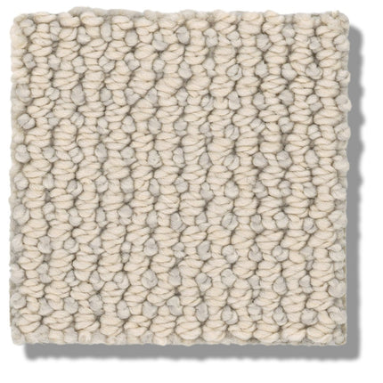 Purrfection - ZZ097_00112-Carpet