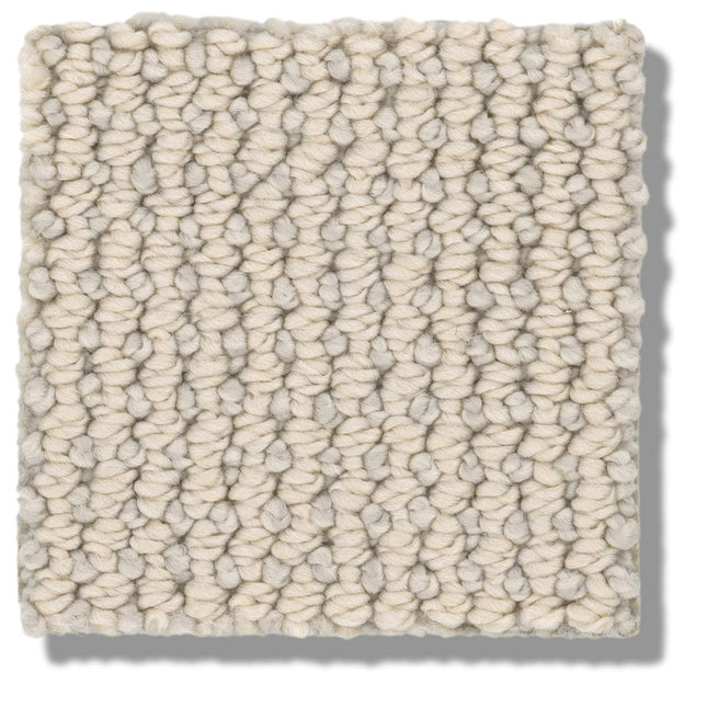 Purrfection - ZZ097_00112-Carpet