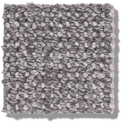 Purrfection - ZZ097_00558-Carpet