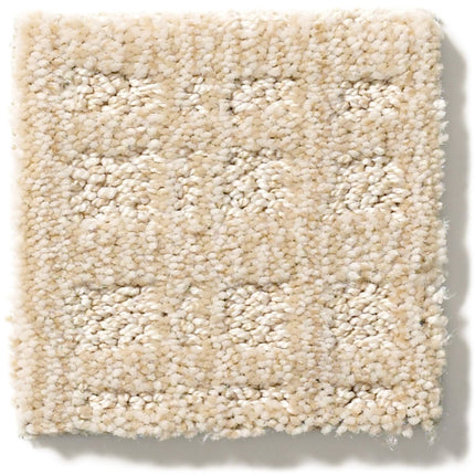 Purrsuasion - ZZ082_00211-Carpet