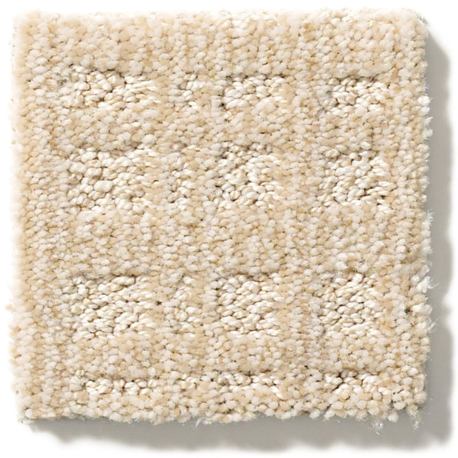 Purrsuasion - ZZ082_00211-Carpet