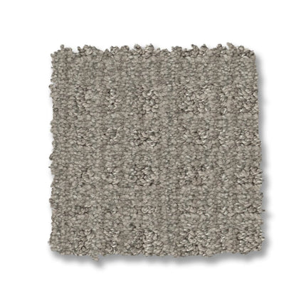Purrsuasion - ZZ082_00553-Carpet