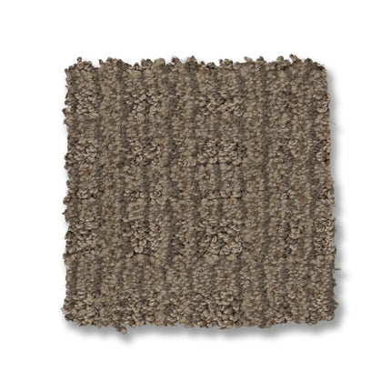 Purrsuasion - ZZ082_00776-Carpet