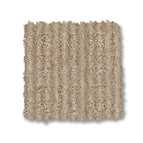 Simply Beige