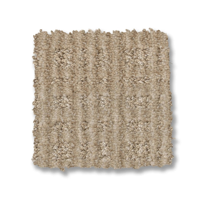 Purrsuasion - ZZ082_00222-Carpet