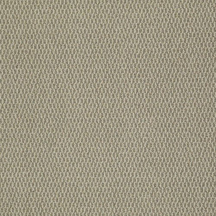 REMIX - 54760 - 00100 - Carpet