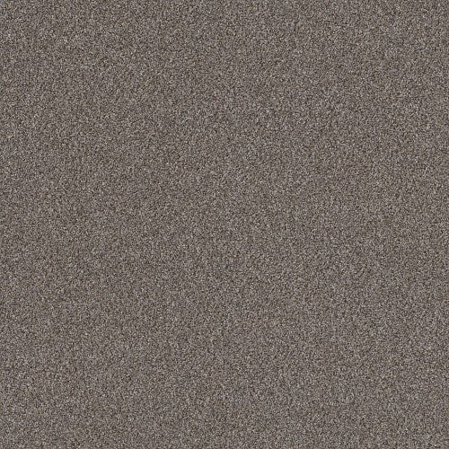 RIGHT CHOICE - 5E542 - 00111 - Carpet