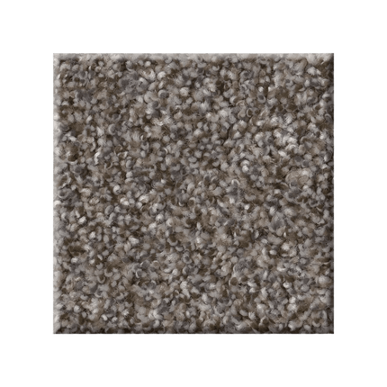 RIGHT CHOICE - 5E542 - 00111 - Carpet