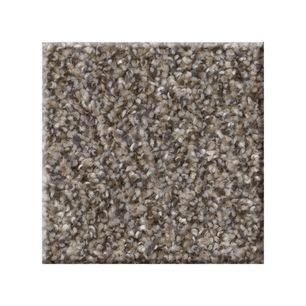RIGHT CHOICE - 5E542 - 00112 - Carpet