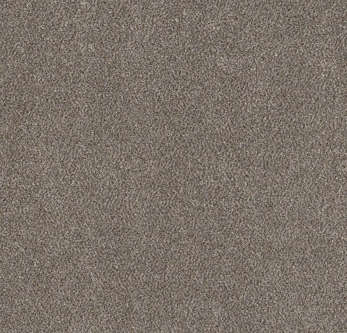 RIGHT CHOICE - 5E542 - 00112 - Carpet