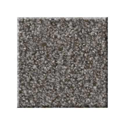 RIGHT CHOICE - 5E542 - 00510 - Carpet