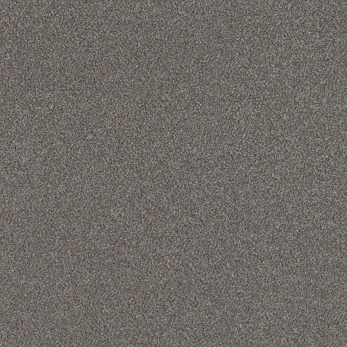 RIGHT CHOICE - 5E542 - 00510 - Carpet