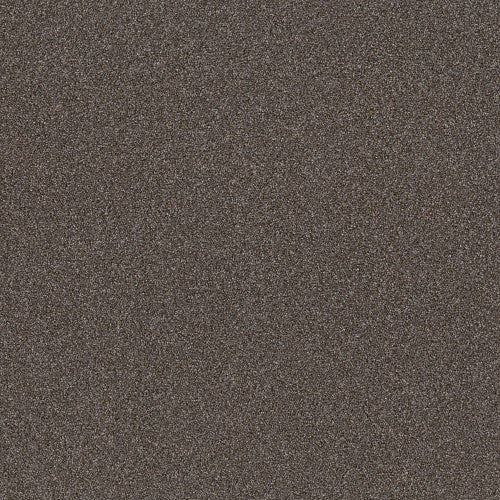 RIGHT CHOICE - 5E542 - 00711 - Carpet