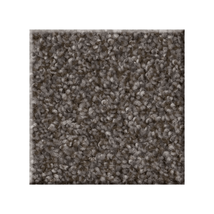 RIGHT CHOICE - 5E542 - 00711 - Carpet