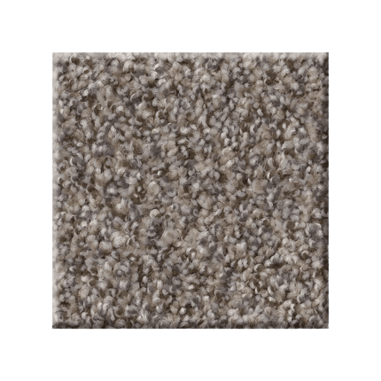 RIGHT CHOICE - 5E542 - 00110 - Carpet