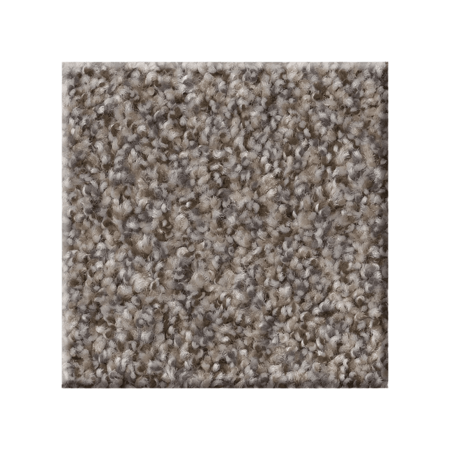 RIGHT CHOICE - 5E542 - 00110 - Carpet