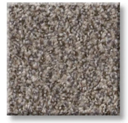 RIGHT CHOICE - 5E542 - 00110 - Carpet