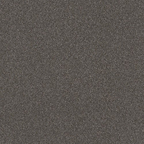 RIGHT CHOICE - 5E542 - 00511 - Carpet