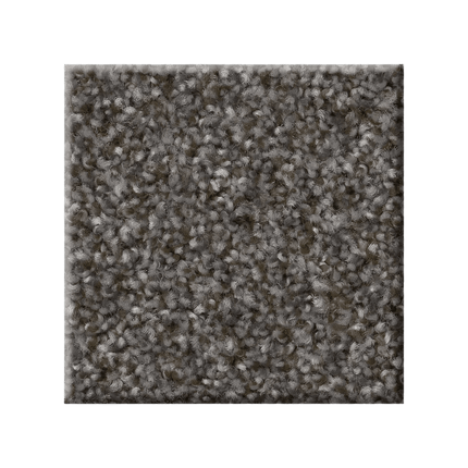 RIGHT CHOICE - 5E542 - 00511 - Carpet
