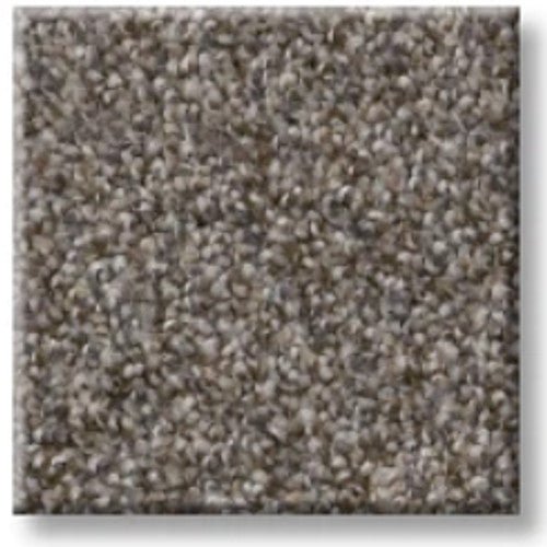 RIGHT CHOICE - 5E542 - 00114 - Carpet