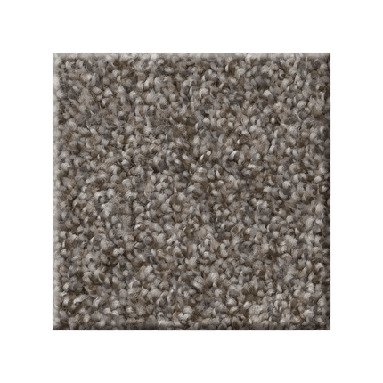 RIGHT CHOICE - 5E542 - 00114 - Carpet