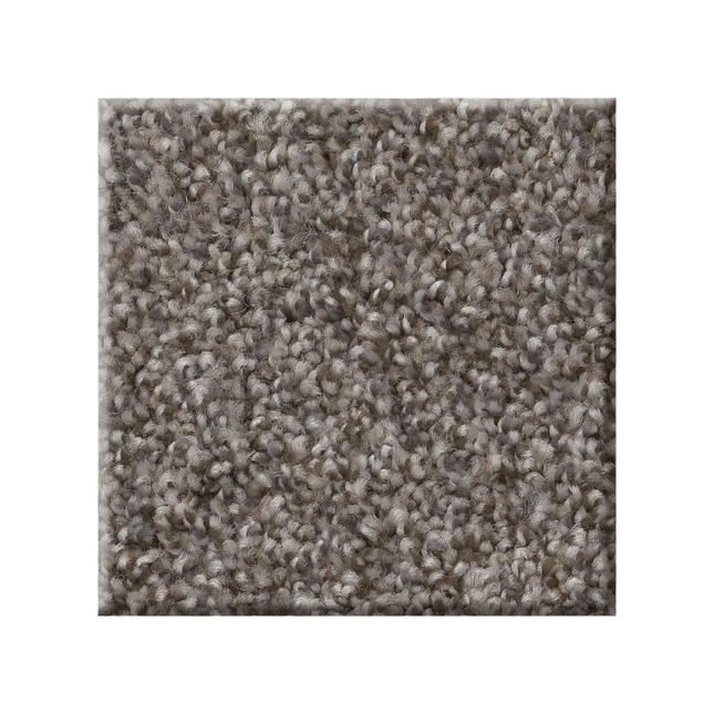 RIGHT CHOICE - 5E542 - 00114 - Carpet