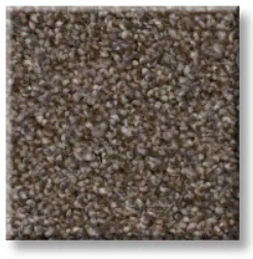 RIGHT CHOICE - 5E542 - 00710 - Carpet