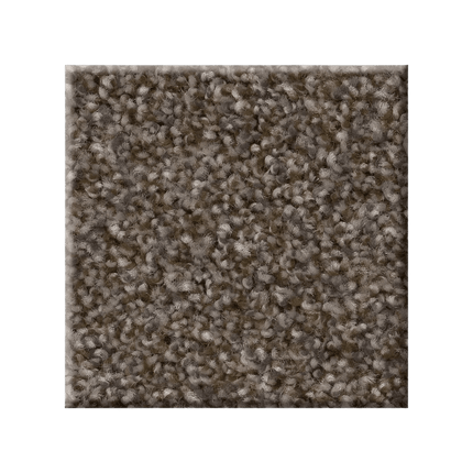 RIGHT CHOICE - 5E542 - 00710 - Carpet