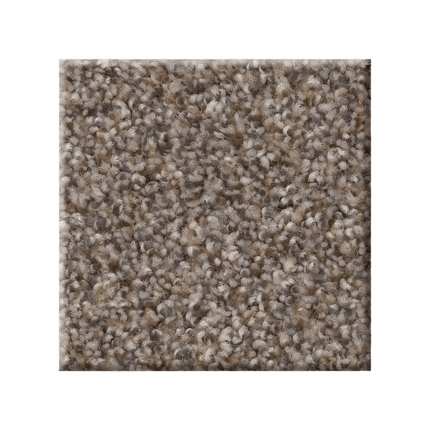 RIGHT CHOICE - 5E542 - 00113 - Carpet
