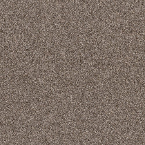 RIGHT CHOICE - 5E542 - 00113 - Carpet