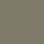Pewter