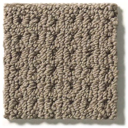 San Lucas - ZZ095_00777-Carpet