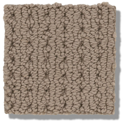 San Lucas - ZZ095_00724-Carpet